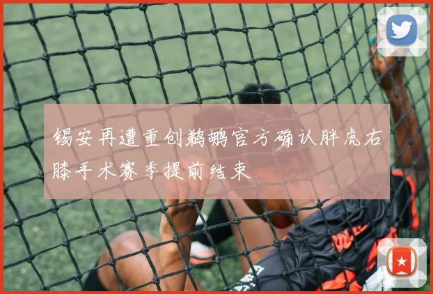 锡安再遭重创鹈鹕官方确认胖虎右膝手术赛季提前结束