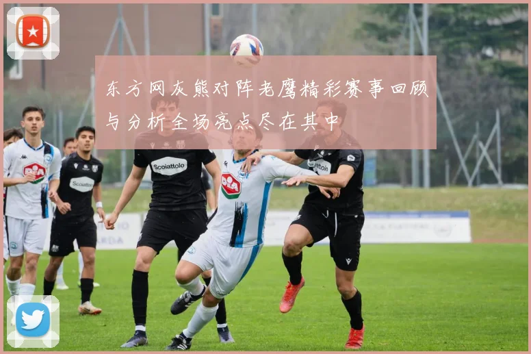 东方网灰熊对阵老鹰精彩赛事回顾与分析全场亮点尽在其中