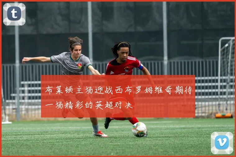 布莱顿主场迎战西布罗姆维奇期待一场精彩的英超对决