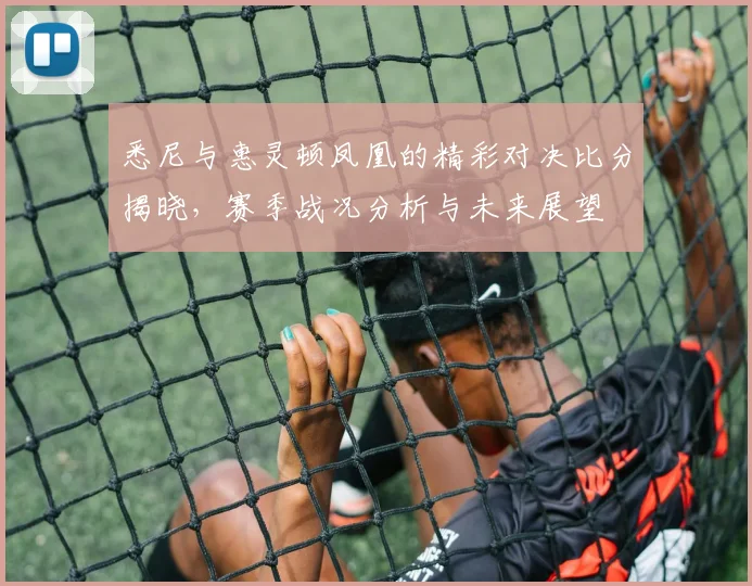 悉尼与惠灵顿凤凰的精彩对决比分揭晓，赛季战况分析与未来展望