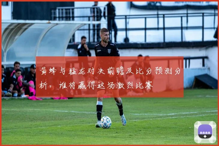 黄蜂与猛龙对决前瞻及比分预测分析，谁将赢得这场激烈比赛